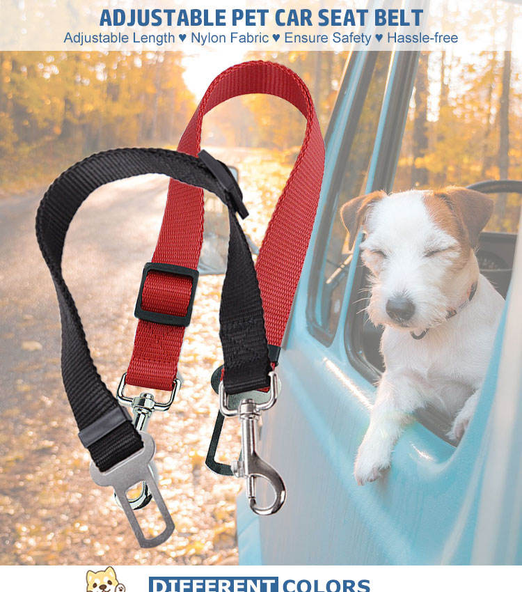 Pet car seatbelt leash