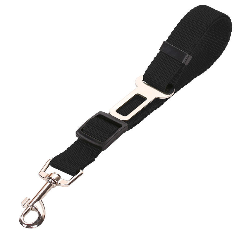 Pet car seatbelt leash