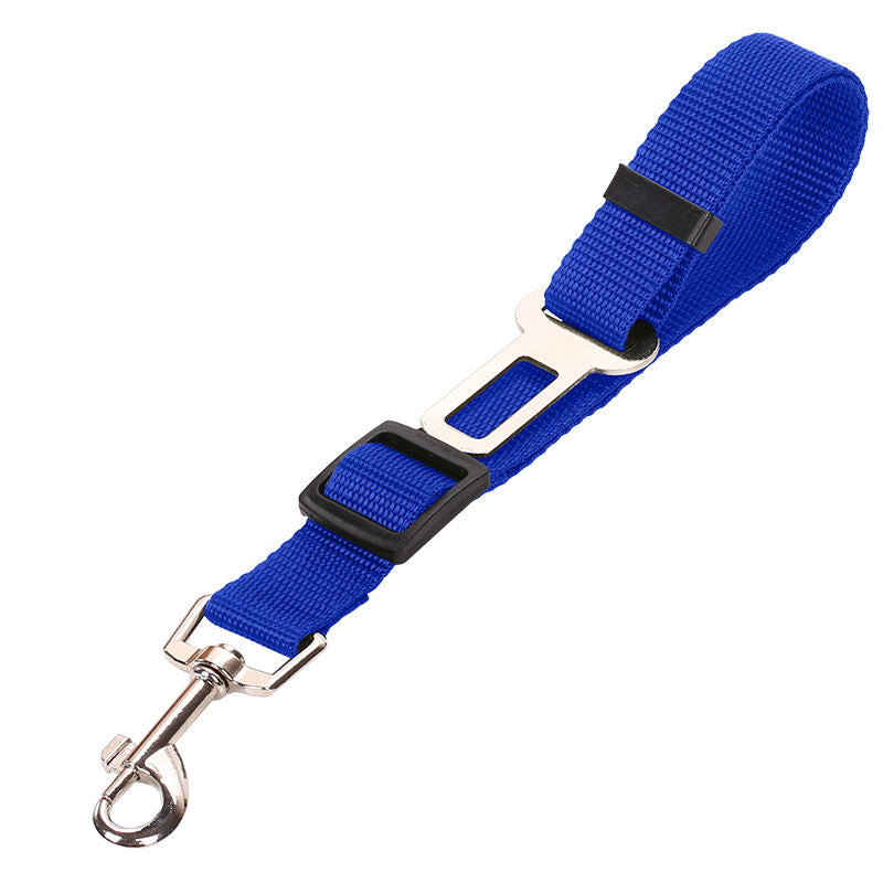 Pet car seatbelt leash